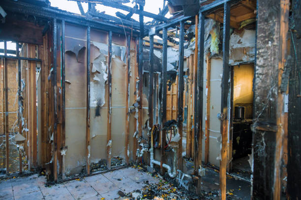 Professional Fire Damage Removal technician working in Dunlap, IA